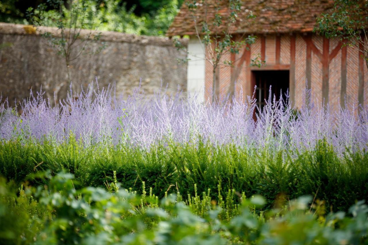 Château Louise de La Vallière Reugny  Exterior foto